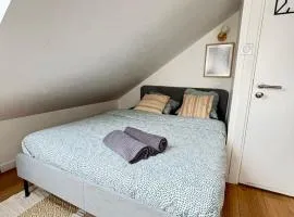 Soh Rent Strasbourg Studio 2 Tv- Wifi Proche Gare
