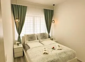 VIBE S31 Apartman ,AC,Free Parking