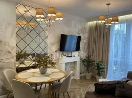 Family & Business Sauna Apartments Plac Wolności CENTRUM Downtow, - Piękny Apartament - 5 Bedroom with Private Sauna, Bath with Hydromassage, Parking, Catering Options