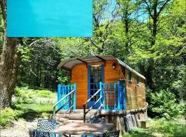 Gite la bleuet avec piscine