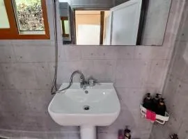 뜰안정원