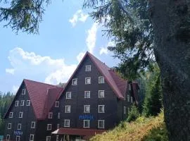 Маріна Драгобрат