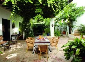 Art Boutique Hotel Chamarel