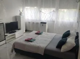 Studio apartman Franka