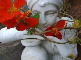 Poterie d'Art
