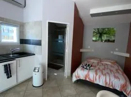 Dépendance individuelle