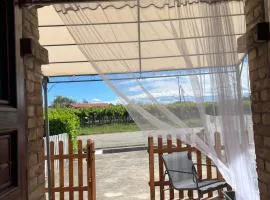 casale nonna Elisa relax tra ulivi