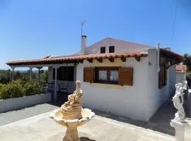 Freesia House