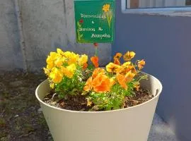 Departamento céntrico para 4 personas