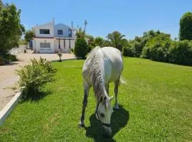 Casa Seahorses b