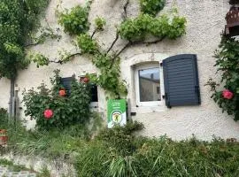 Ancienne ferme restaurée avec charme, vergers de mirabelles, borne électrique, proche Lac de Madine - FR-1-585-7