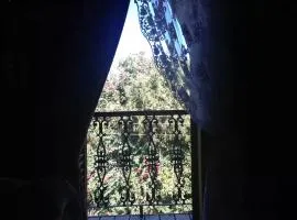Chalé 23