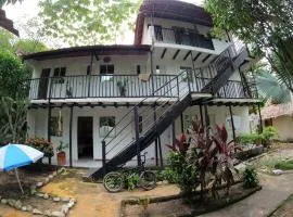 Dogsheltercafepalomino