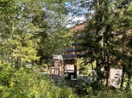 Rooms Hotel Kokhta Apartments