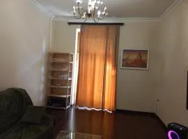 Comfortable Apartment