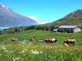 Chalet d'alpage de Savalin à 2000 mètres d'altitude au lac du Mont-Cenis