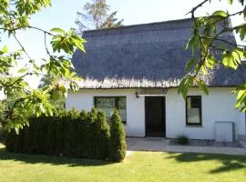 Ferienhaus 1