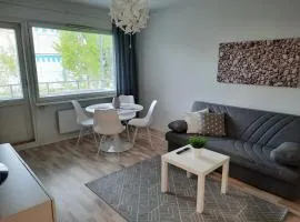 Viihtyisä kaksio keskustassa - Cosy apartment in the center