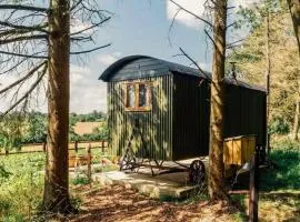 Woodland Cotswold Shepherds Hut