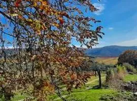 La Colombaia delle Bartaline