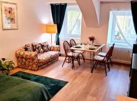 Apartments Romantic and Family Room Zemlinski