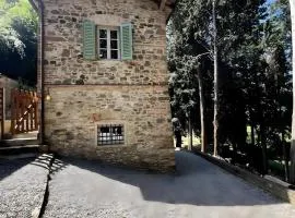 San Bartolo in Chianti con giardino