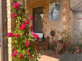 Agriturismo Podere Marroneto