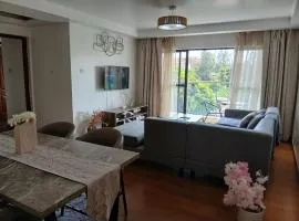 Luxurious two bedroom apartment at the Alma