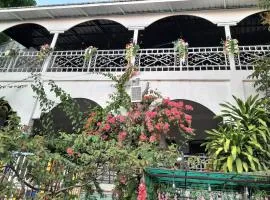 Villa Patriz Retreat