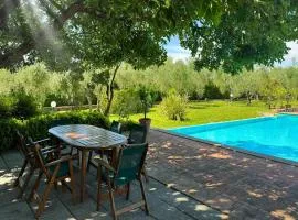 Villa Fortini by Mmega