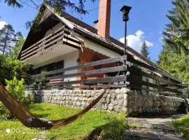 MaxDan Lodge