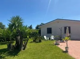 White Rock House