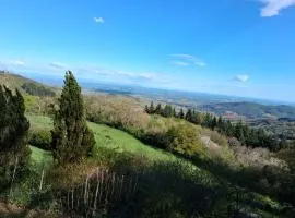 Chalet Panoramique