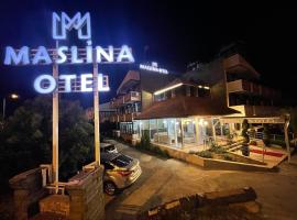 maslina otel，埃德雷米特的飯店