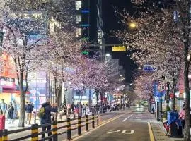 Dreaming Hostel Sinchon Hongdae