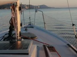Racing Boat