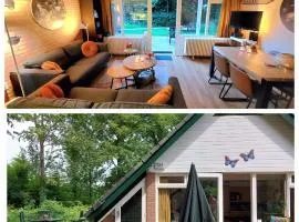 Butterflies, bungalow 134