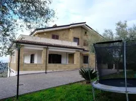 B&B Toramazzone