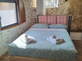 CASA DI Noris