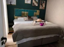 Quarto na Casa dos Sonhos、ブラジリアのB&B