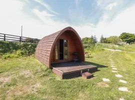Deer Pod