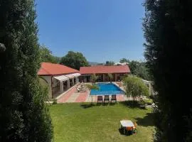 Pawlonia Villa Kvareli
