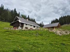 Koča na Kranjski dolini Krnica 93 a,Pokljuka
