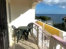 Palmetto Bay Paradise