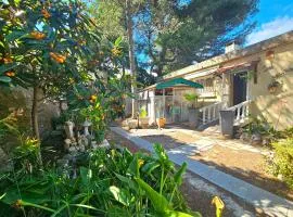 Villa des cèdres La Franqui