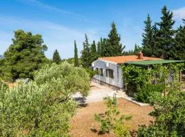 Pet Friendly Home In Rudina