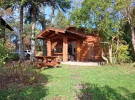 Cabanas Mapulauquen