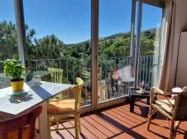 Appartement à Banyuls-sur-Mer avec Vue sur Mer et Parking - FR-1-309-6