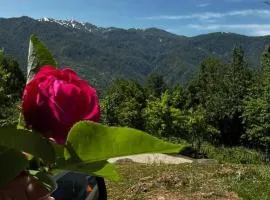 Eco Cottage Panorama Merisi