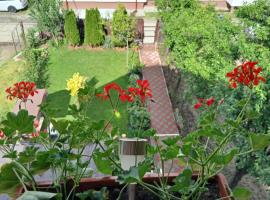 Casa Fabrizio, hotel i Călimăneşti
